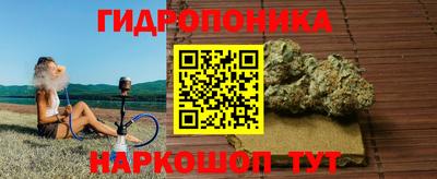 экстази Гай