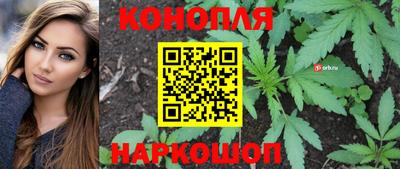 экстази Гай