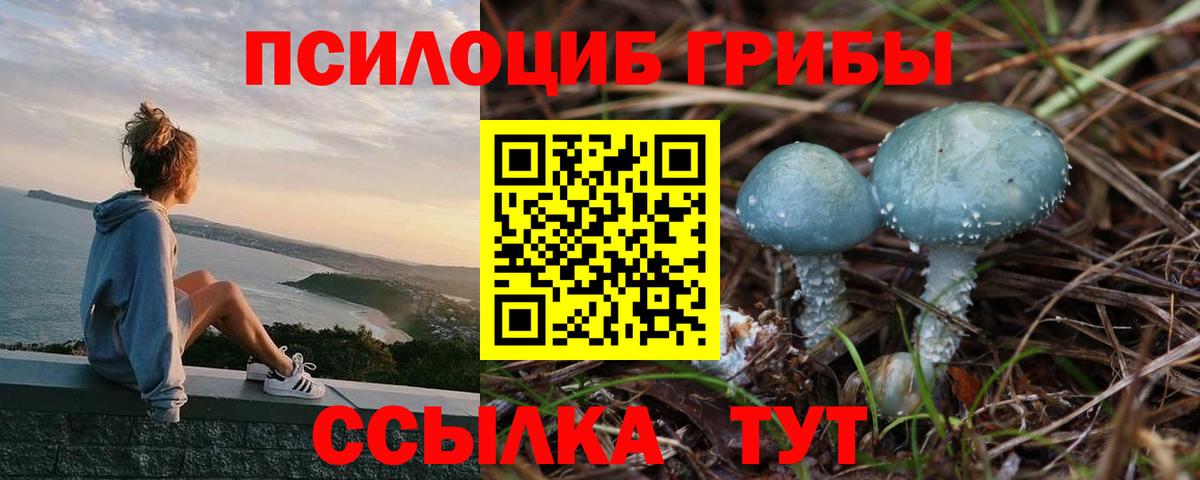 Галлюциногенные грибы Psilocybe  закладка  Ростов Великий  Вход с VPN 